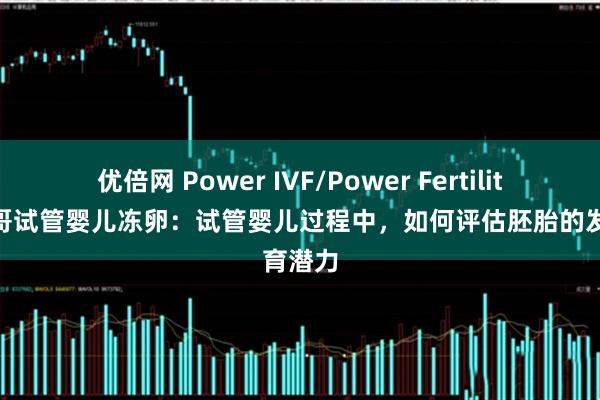 优倍网 Power IVF/Power Fertility 墨西哥试管婴儿冻卵：试管婴儿过程中，如何评估胚胎的发育潜力